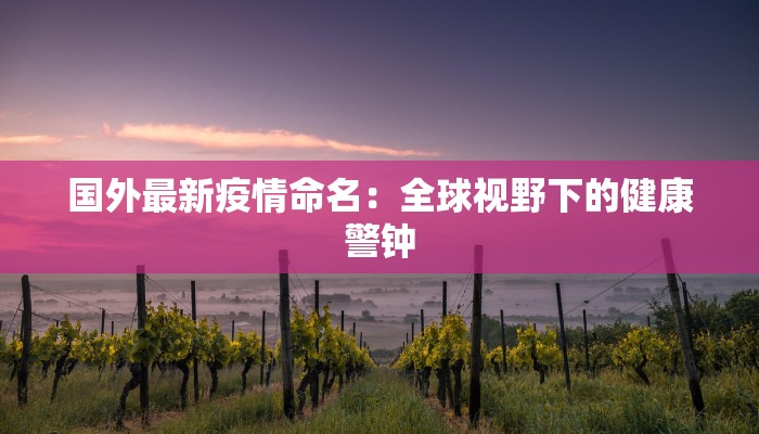 国外最新疫情命名:全球视野下的健康警钟 国外最新疫情命名:全球视野下的健康警钟