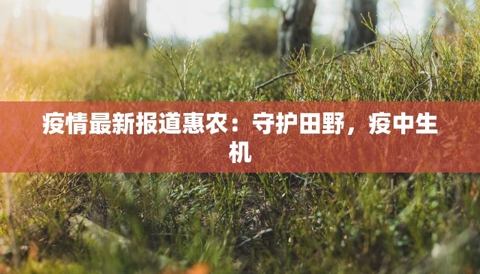 最新兰州疫情捐款情况