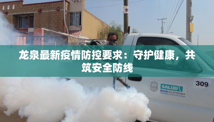 龙泉最新疫情防控要求：守护健康，共筑安全防线