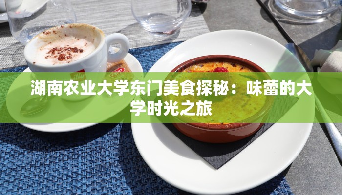 湖南农业大学东门美食探秘：味蕾的大学时光之旅