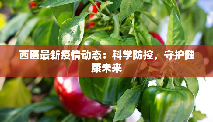 横店美食烙锅：古韵小镇的火热滋味