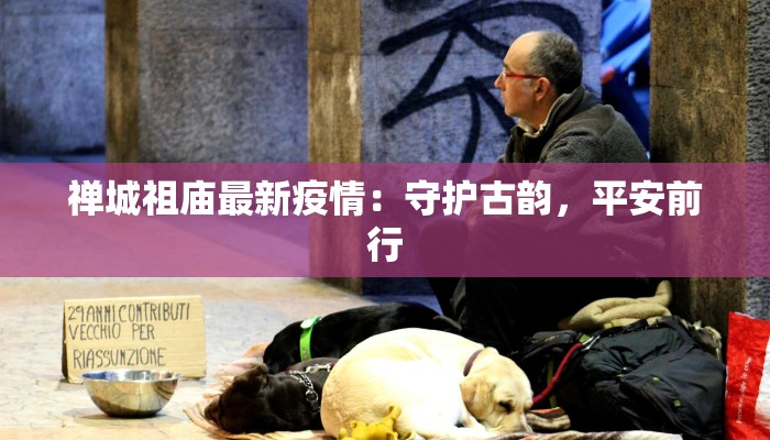 禅城祖庙最新疫情：守护古韵，平安前行