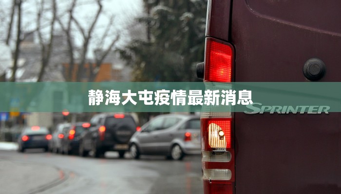 静海大屯疫情最新消息