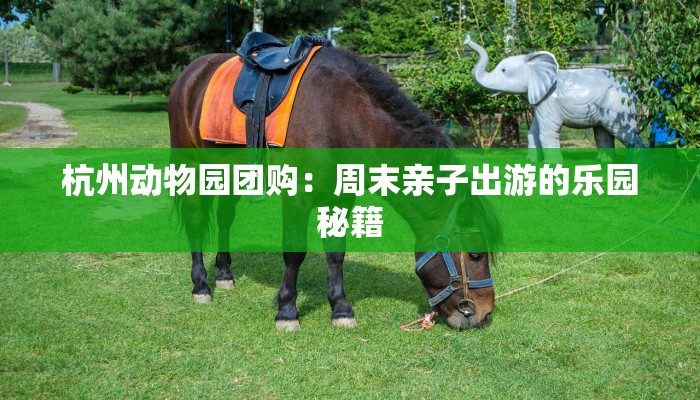 杭州动物园团购：周末亲子出游的乐园秘籍