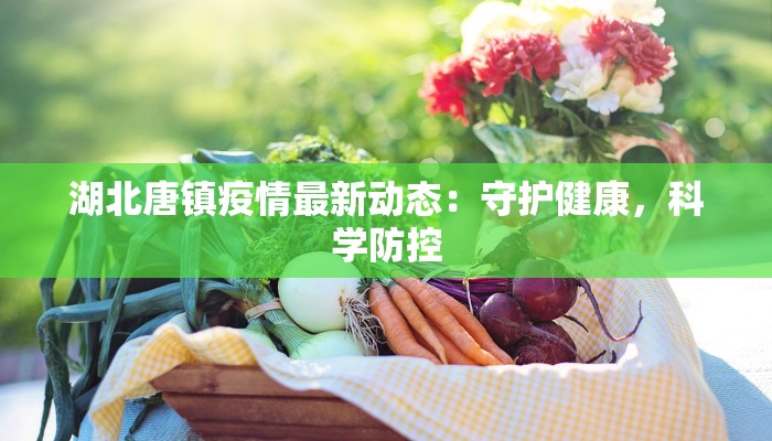 湖北唐镇疫情最新动态：守护健康，科学防控