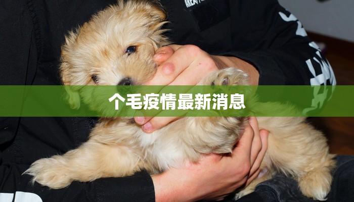 个毛疫情最新消息 个毛疫情最新消息