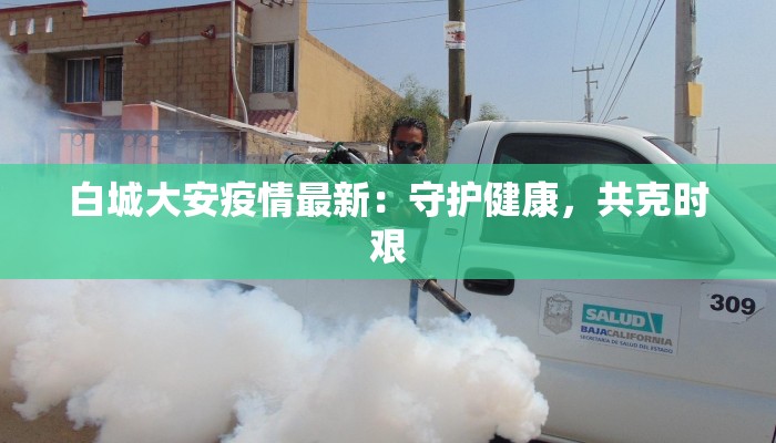 白城大安疫情最新:守护健康,共克时艰 白城大安疫情最新:守护健康,共克时艰