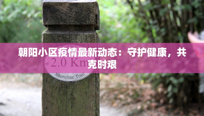 朝阳小区疫情最新动态:守护健康,共克时艰 朝阳小区疫情最新动态:守护健康,共克时艰