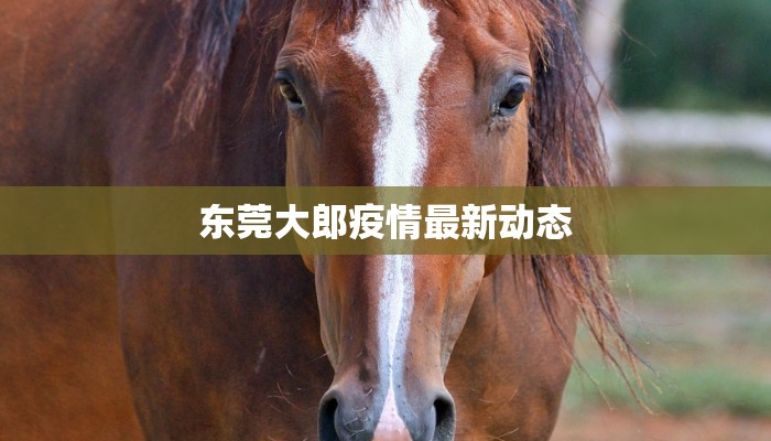 东莞大郎疫情最新动态 东莞大郎疫情最新动态