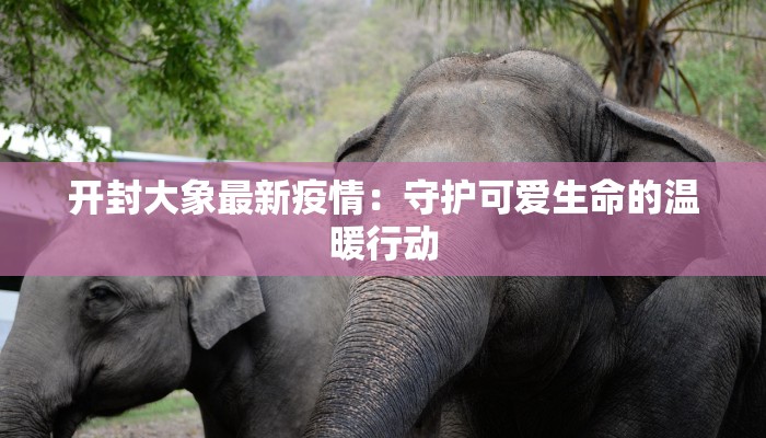 开封大象最新疫情:守护可爱生命的温暖行动 开封大象最新疫情:守护可爱生命的温暖行动