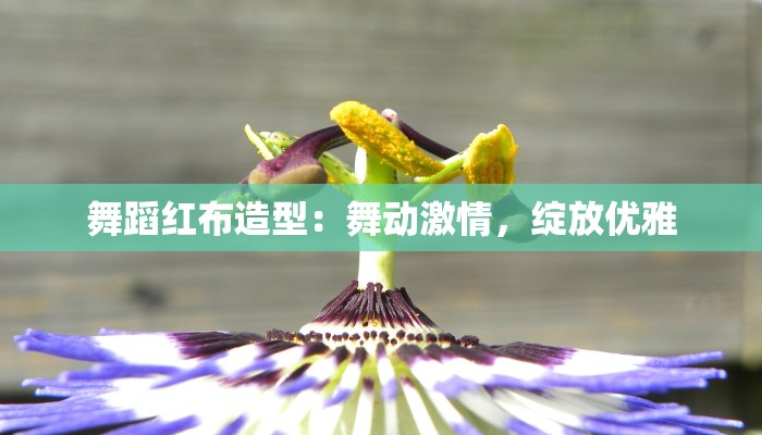 舞蹈红布造型:舞动激情,绽放优雅 舞蹈红布造型:舞动激情,绽放优雅